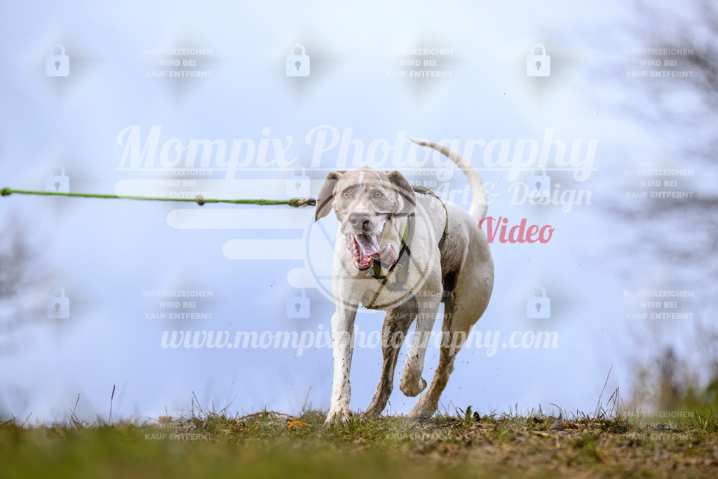 MompixPhotography_2OATB_SO_Run-9 | PayLife