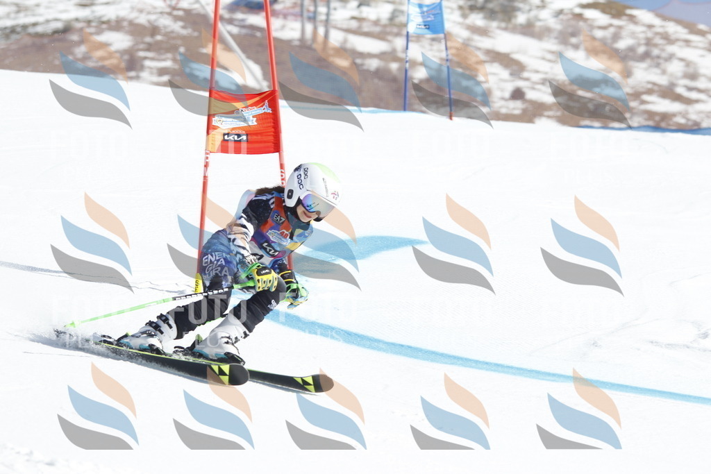 _U3G8466 | holidayphoto