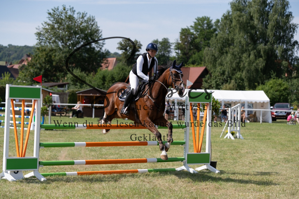 A7V01631 | Pferdefotograf