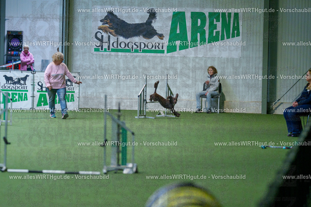 @allesWIRTHgut_Tierfotografie - www.allesWIRTHgut.de - 2604260804-7R506590 | Professionelle Tierfotografie in Mönchengladbach von Daniel Wirth (allesWIRTHgut). Liebevolle & natürliche Bilder von Hunden & Katzen für unvergessliche Erinnerungen.