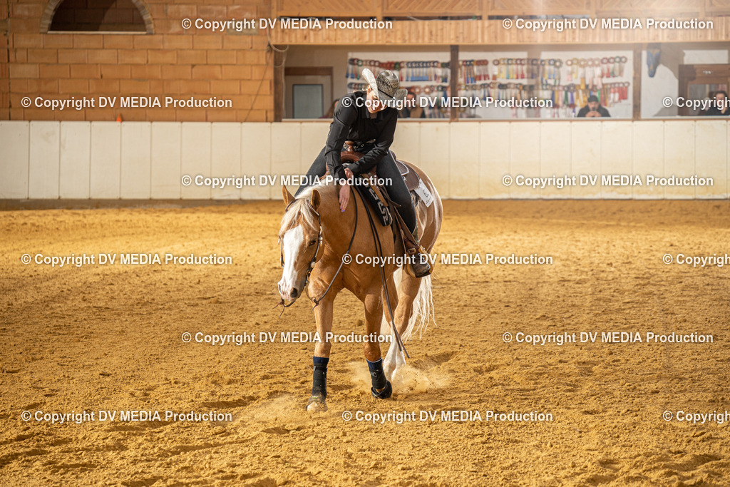 MIT00686 | dv-media-shop - Realisiert mit Pictrs.com