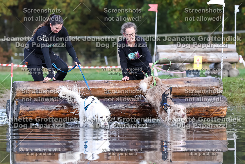 Dog Paparazzi - Strongdog 10-25-6901 | Dog Paparazzi Jeanette Grottendiek Fotografie & Videografie - Realisiert mit Pictrs.com
