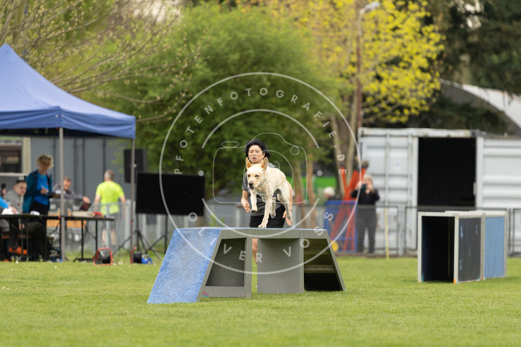 Pfotenfotografie_DV3A9312 | Hundefotografie, Tierfotograf, Pfotenfotografie, Fotoshooting Hund, Hunde Portrait, Hundesport, Hundeportraits, Heideshooting, Hunde, Sportfotograf, Hundefotograf, Turnierhundsport, THS,  - Realisiert mit Pictrs.com