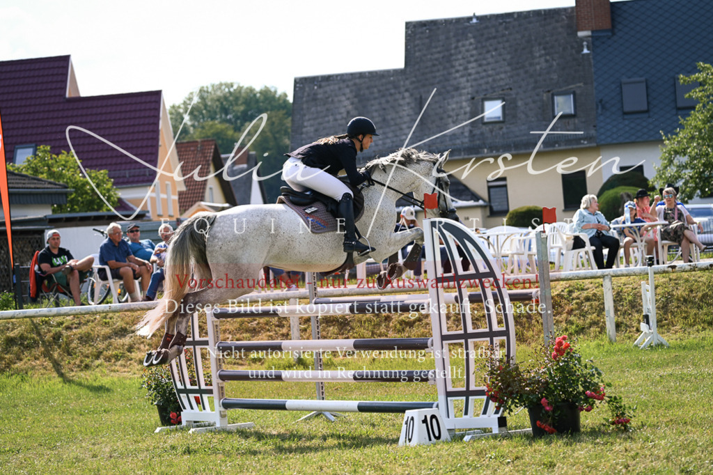 DSC_1072 | Pferde- und Turnierfotografie in Westsachsen. Pferdeportraits, Auftragszeichnungen und intuitive Kunst.