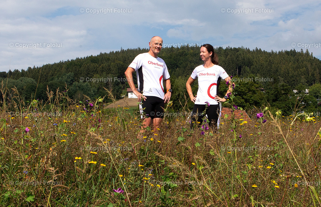 OBERBANKBIENENWIESE_260822_38 | bilder, linz, photo, foto, fussball, sport, fotolui, bundesliga