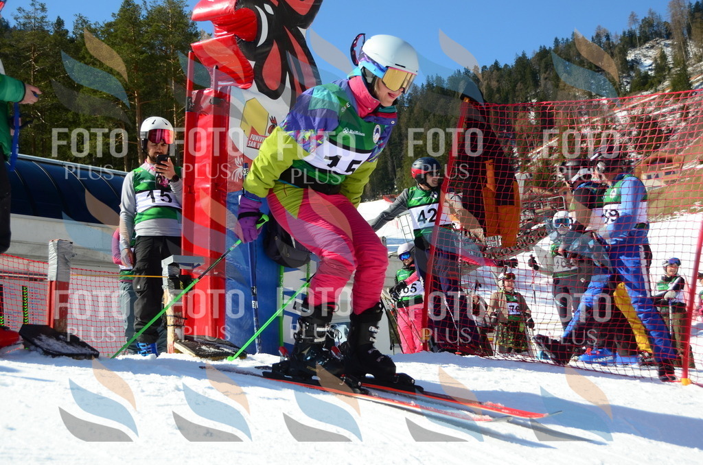 C6180 | holidayphoto