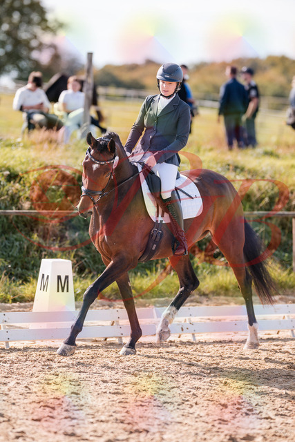 2026_10_03_Siefer-Hof_125449_Z81_42936434 | Professionelle Reitsport-, Turnier- und Eventfotografie von Robert Broda. Galerien mit ausgewählten und bearbeiteten Bildern direkt online ansehen und bestellen.