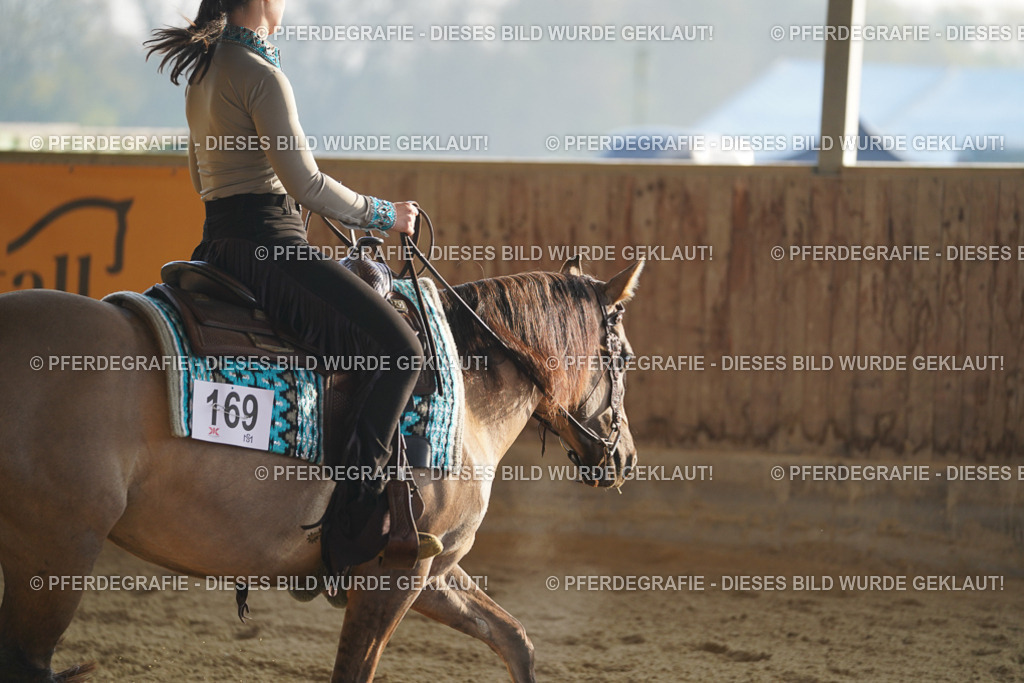 DSC07591 | Pferdegrafie