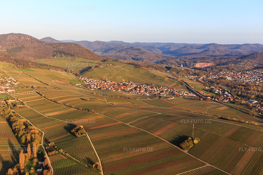 Luftbild: Ortsansicht von Südosten in Birkweiler im Bundesland Rheinland-Pfalz in Deutschland. Foto: IMG_126255.jpg vom 04.04.2021 durch Werner Riehm/FLY-FOTO.de