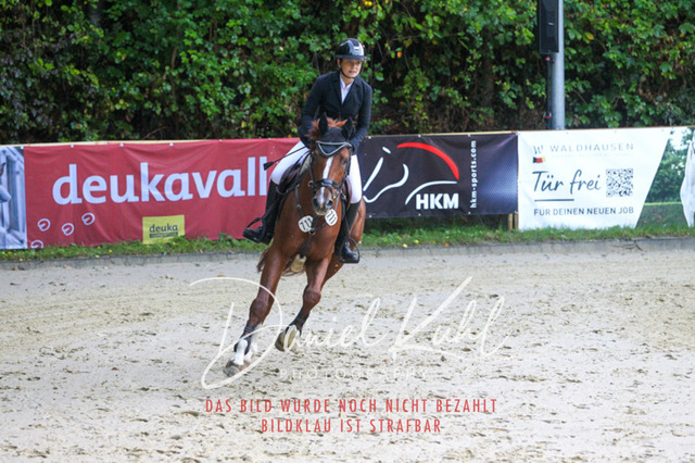 DKP40054 | Turniersportfotografie; Pferdefotografie; Dressurfotografie