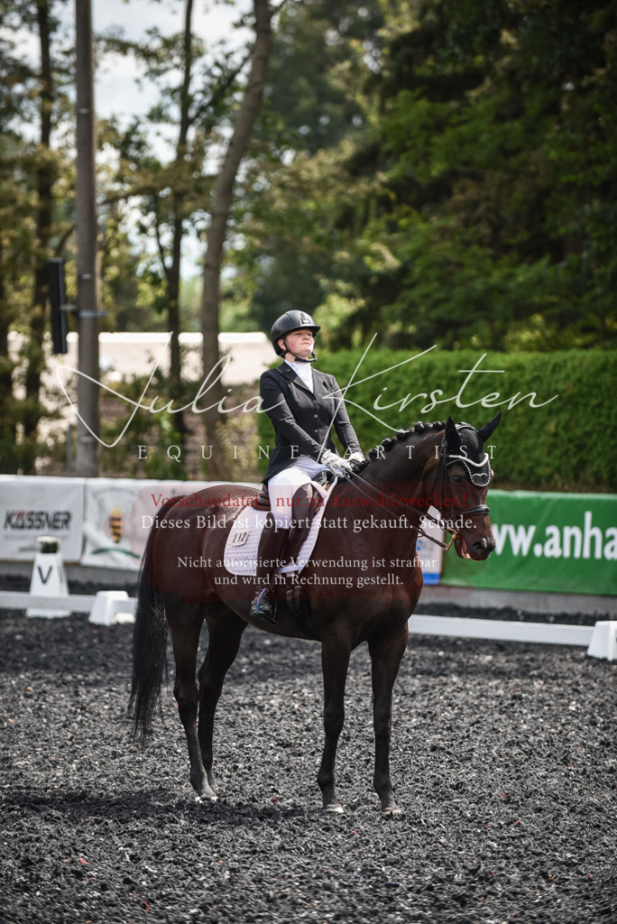 DSC_4784 | Pferde- und Turnierfotografie in Westsachsen. Pferdeportraits, Auftragszeichnungen und intuitive Kunst.