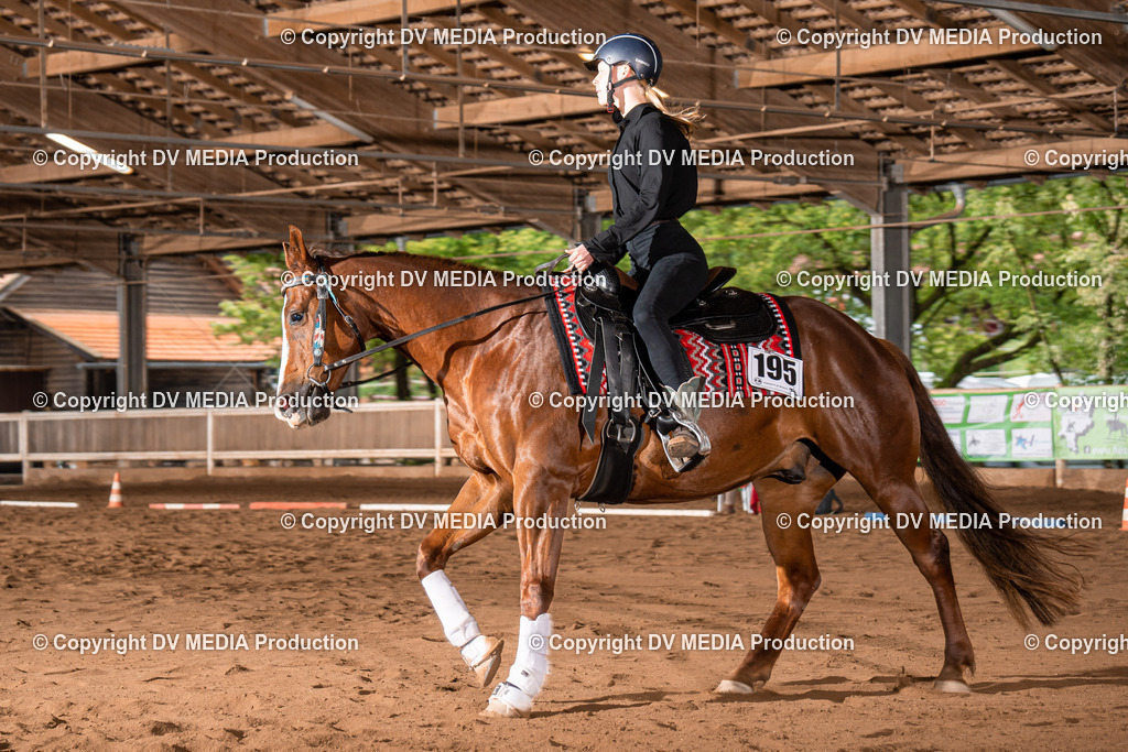 Erbach Tag 2-291 | dv-media-shop - Realisiert mit Pictrs.com