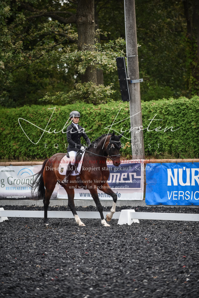 DSC_4569 | Pferde- und Turnierfotografie in Westsachsen. Pferdeportraits, Auftragszeichnungen und intuitive Kunst.