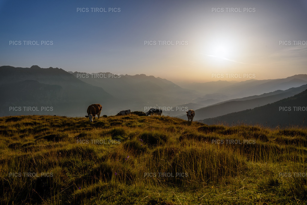 DSC_7423-Verbessert-RR-Bearbeitet-2 | Tirolpics