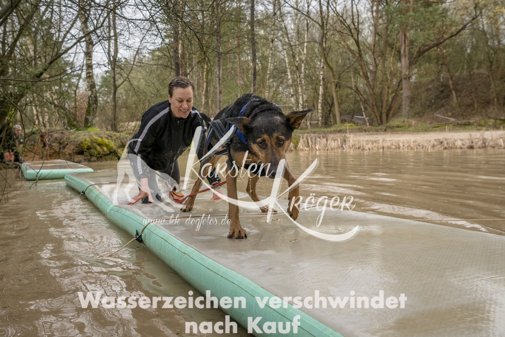 1328_ZZ90596-Bearbeitet | kk-dogfotos