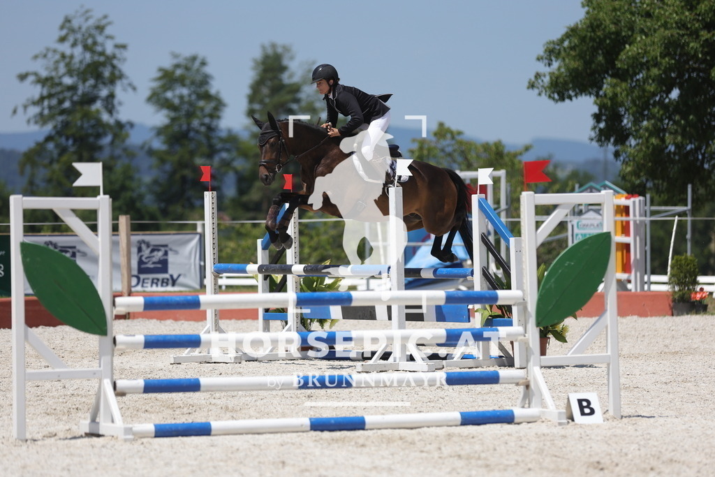 0P6A9236 | Willkommen bei Brunnmayr - Design & Fotografie – Ihrem Spezialisten für Reitturniere und Pferdeveranstaltungen in Oberösterreich, Salzburg und Bayern! Seit über 17 Jahren sind wir leidenschaftlich dabei.