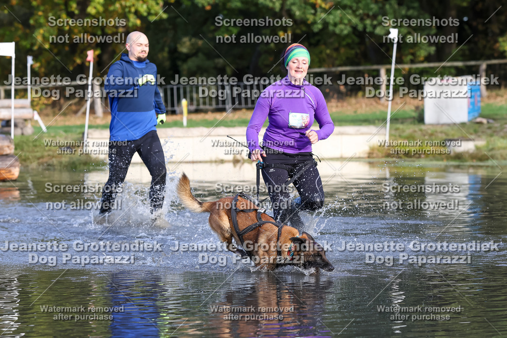 Dog Paparazzi - Strongdog 10-25-8345 | Dog Paparazzi Jeanette Grottendiek Fotografie & Videografie - Realisiert mit Pictrs.com