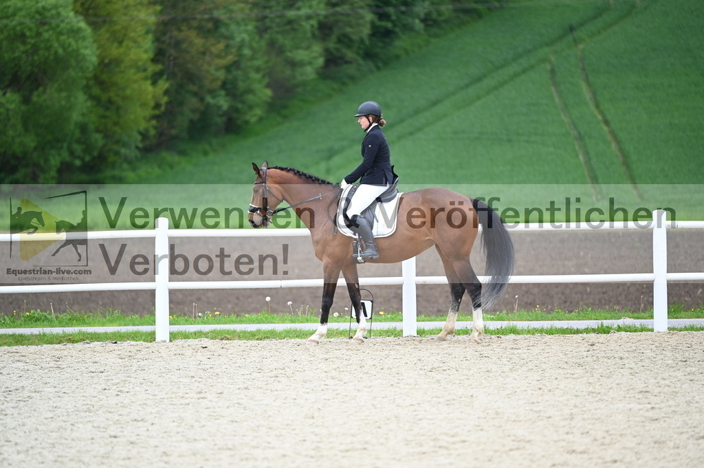 DSC_0253 | equestrian-live-com