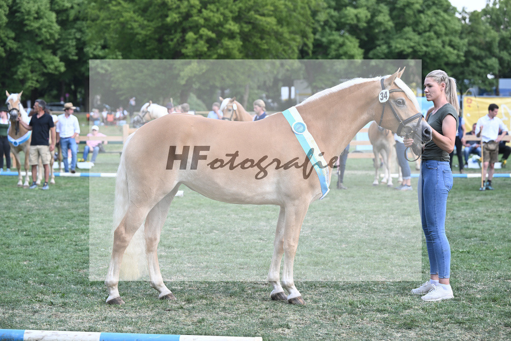 Kat-Nr. 34 Heikena-Gold_Karrer_20231556 | hf-fotografie - Realisiert mit Pictrs.com