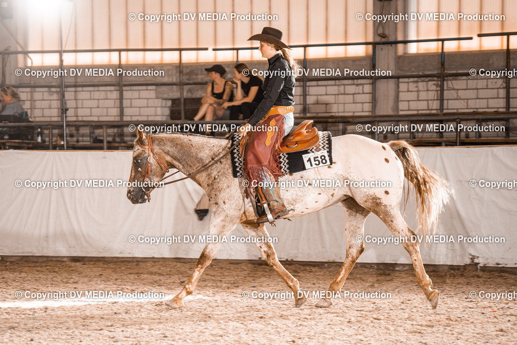 ZH100486 | dv-media-shop - Realisiert mit Pictrs.com