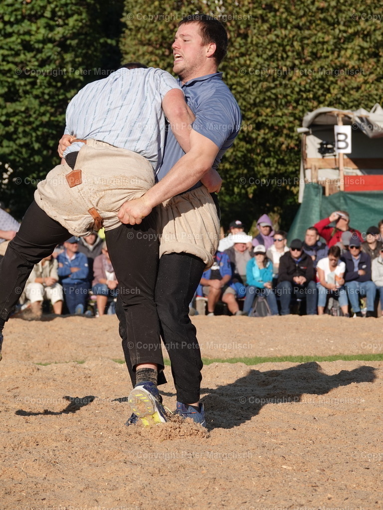 DSC05540 | Schwingen - Realisiert mit Pictrs.com