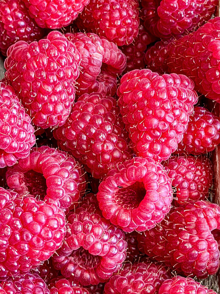 Satte Himbeer-Strukturen – Pralles Makro-Wandbild für die Küche | Eine Explosion von Farbe, Struktur und Frische. Dieses hochaufgelöste Makro-Foto von erntefrischen Himbeeren fasziniert durch seine feine, organische Textur. Der kräftige Himbeerton bringt lebendige Energie und modernen Manufaktur-Charme an deine Wände. Perfekt als edler Fine Art Print, Acrylglas oder Leinwand für moderne Küchen, Essbereiche und Genussorte. Handfotografiert von Robert Steinke. - Realisiert mit Pictrs.com
