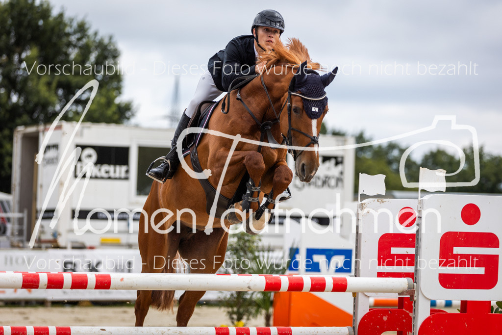 BHO-2PhSpr-M-5-2269 | MomenTaufnahmen Pferdesportfotos