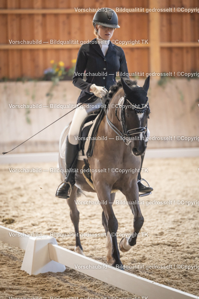 _D5A2875 | Emotionale Pferde- & People-Fotografie rund um Heidelberg, Leimen & Umgebung. Natürliche Fotos von Pferd, Mensch & Familie. Jetzt Termin sichern!