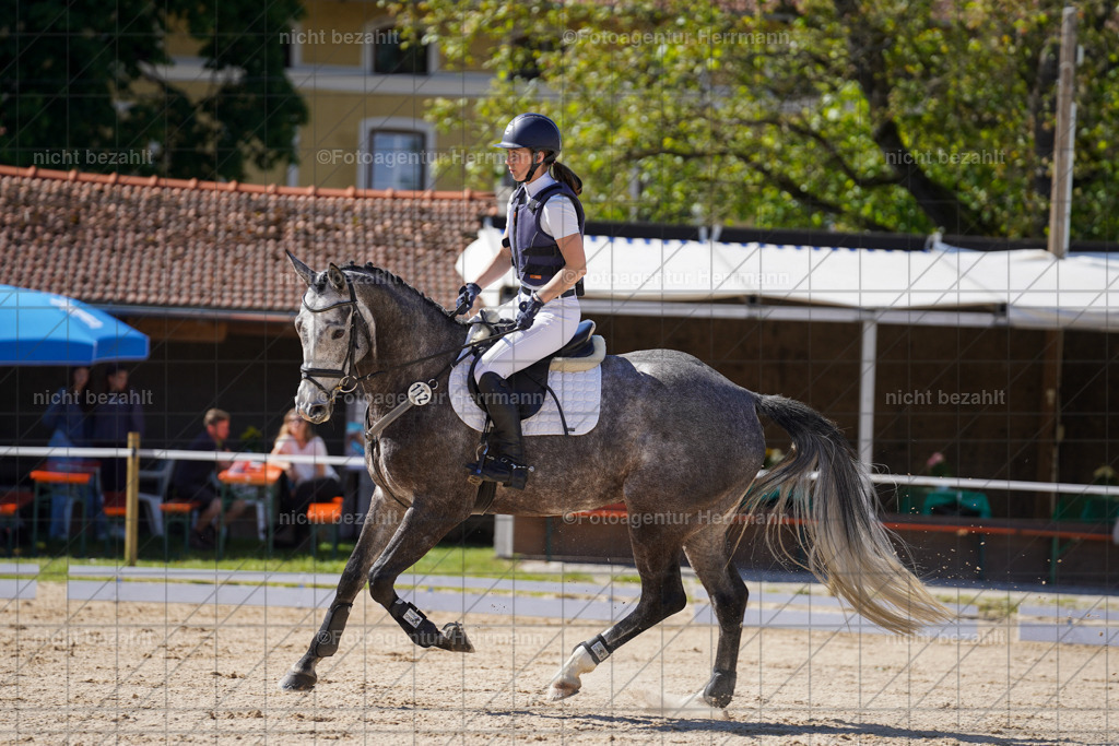 20240518-FAH03037 | rbilder, Turnierfotografen ayern, Fotoagentur Herrmann, Geländeturnier, Springbilder, Dressurbilder, Jungpferdefotograf