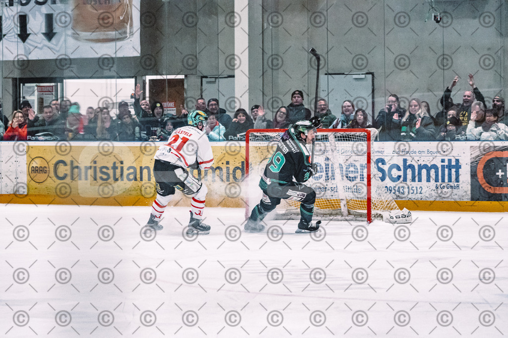 Alligators_vs_Toelz_15_02_2026-39 | Höchstadt Alligators Fotogalerie: Eishockey-Action aus Franken. Professionelle Spielfotos, Portraits & Stadionbilder zum Download. Jetzt entdecken! - Realisiert mit Pictrs.com