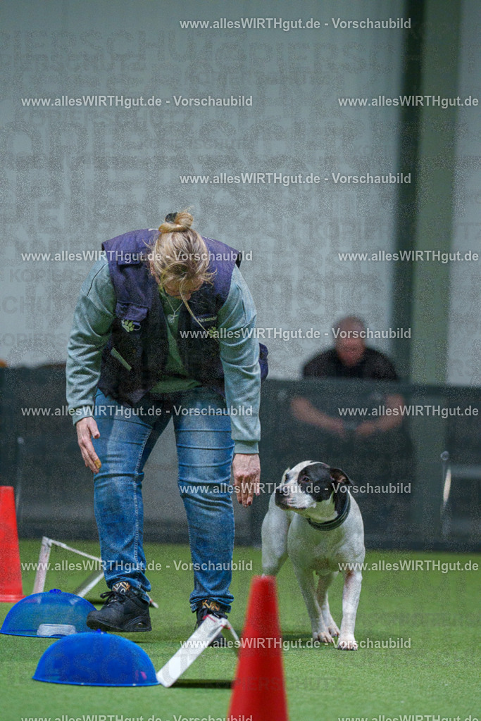 7R502985 | Professionelle Tierfotografie in Mönchengladbach von Daniel Wirth (allesWIRTHgut). Liebevolle & natürliche Bilder von Hunden & Katzen für unvergessliche Erinnerungen.