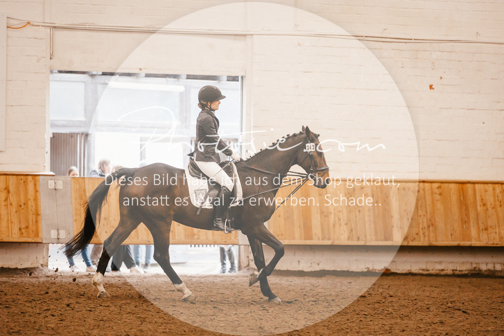 3I6A6362 | Stimmungsvolle Portraits und Reitsportfotografie im Ruhrgebiet und im Münsterland.

Pferdefotografie, Hundefotografie, Tierfotografie, Reportagen, Portraits von Tier und Mensch, Turnierfotografie in Bochum, Recklinghausen, Marl, Haltern am See, Dülmen.. - Realisiert mit Pictrs.com
