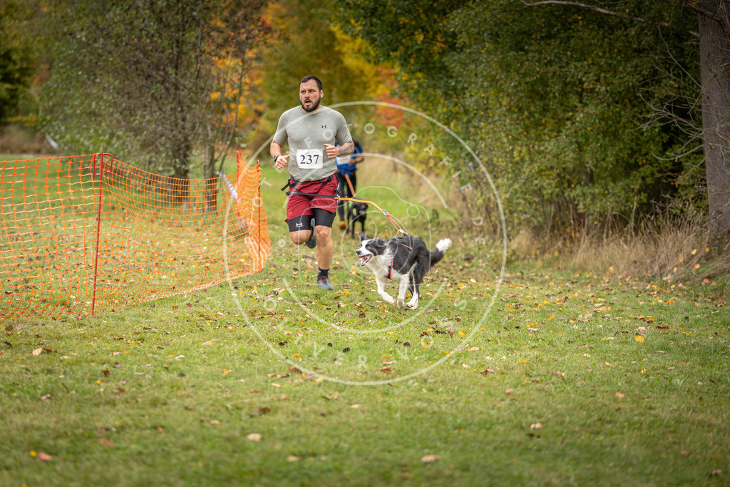 Pfotenfotografie_DV3A4321 | Hundefotografie, Tierfotograf, Pfotenfotografie, Fotoshooting Hund, Hunde Portrait, Hundesport, Hundeportraits, Heideshooting, Hunde, Sportfotograf, Hundefotograf, Turnierhundsport, THS,  - Realisiert mit Pictrs.com