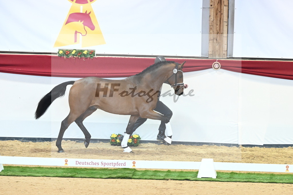 Kat.-Nr. 51 v. Freiherr von Stein_Graditz_2240598 | hf-fotografie - Realisiert mit Pictrs.com