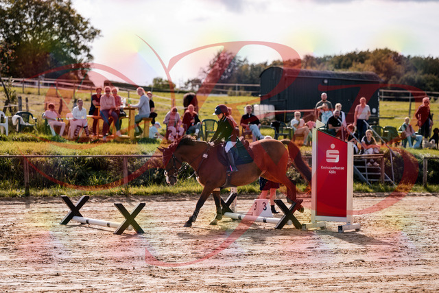 2026_10_03_Siefer-Hof_143807_Z81_07702847 | Professionelle Reitsport-, Turnier- und Eventfotografie von Robert Broda. Galerien mit ausgewählten und bearbeiteten Bildern direkt online ansehen und bestellen.