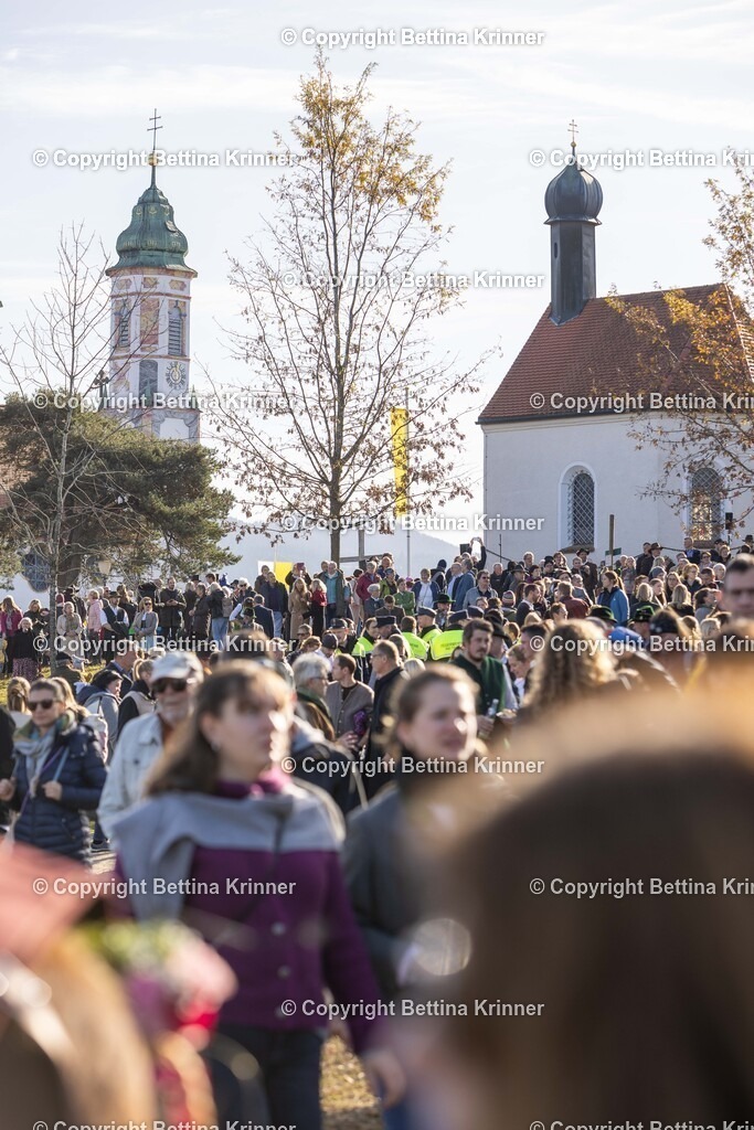 LBT24-1042 | foto-bettina-krinner - Realisiert mit Pictrs.com