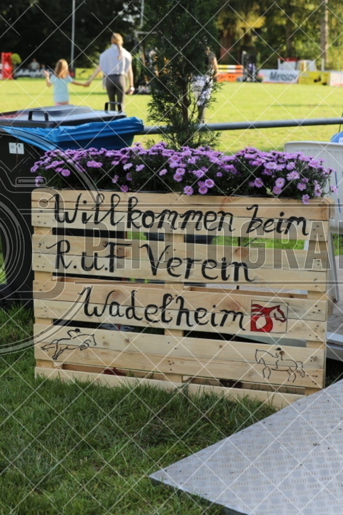IMG_6178 | photographesa-joergens - Realisiert mit Pictrs.com