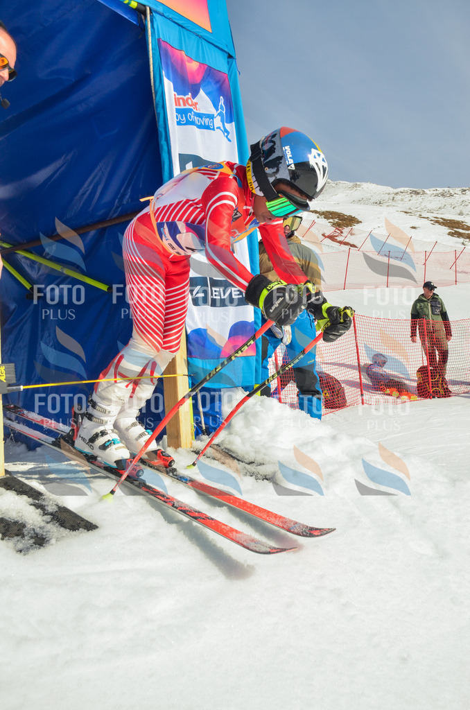 _ELE4273 | holidayphoto