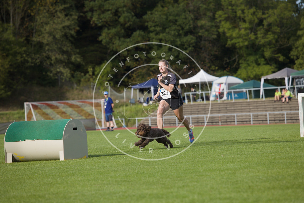 0L8A4119 | Hundefotografie, Tierfotograf, Pfotenfotografie, Fotoshooting Hund, Hunde Portrait, Hundesport, Hundeportraits, Heideshooting, Hunde, Sportfotograf, Hundefotograf, Turnierhundsport, THS,  - Realisiert mit Pictrs.com