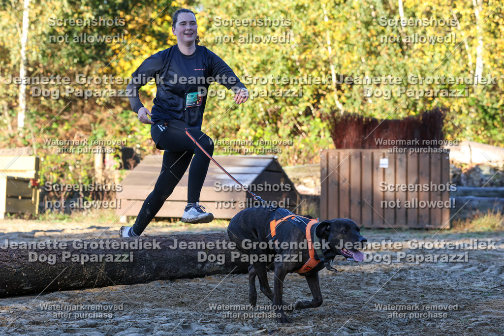 Dog Paparazzi - Strongdog 10-25-807 | Dog Paparazzi Jeanette Grottendiek Fotografie & Videografie - Realisiert mit Pictrs.com