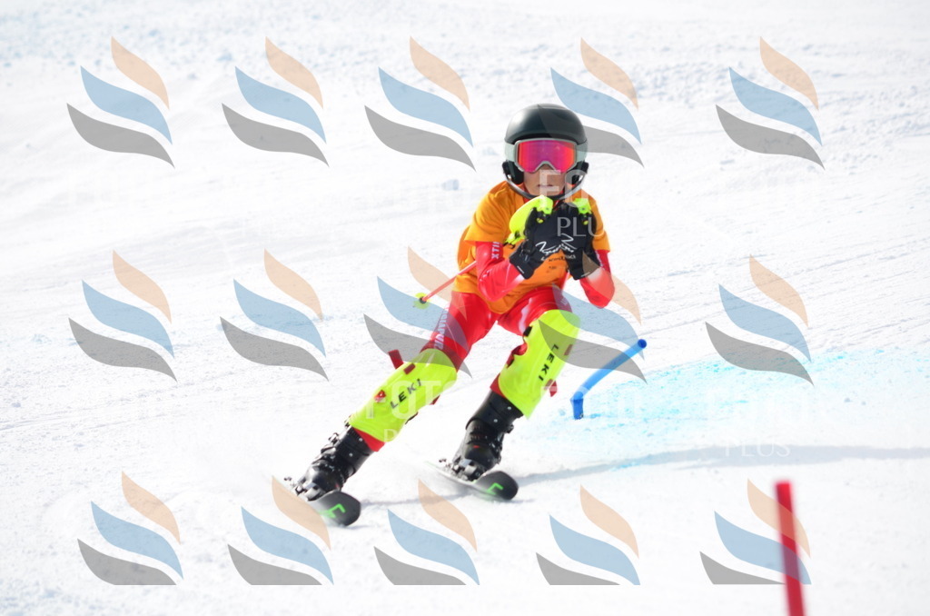 C8341 | holidayphoto