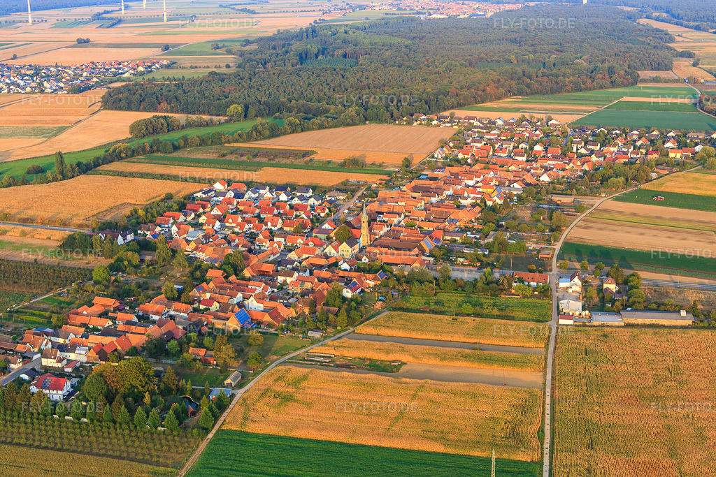 Luftbild: Dorfansicht von Südosten in Erlenbach bei Kandel im Bundesland Rheinland-Pfalz in Deutschland. Foto: IMG_110711.jpg vom 05.09.2018 durch Werner Riehm/FLY-FOTO.de