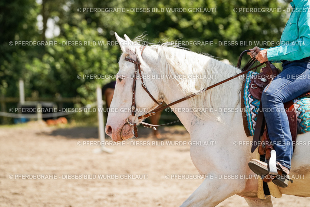 DSC09604 | Pferdegrafie