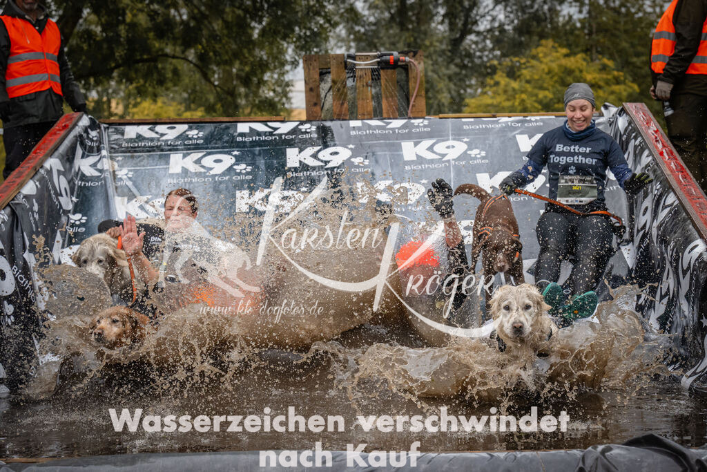 1213_ZZ94759 | kk-dogfotos