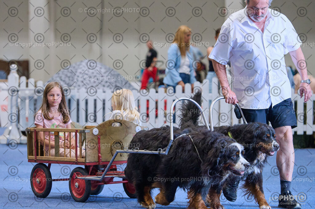 202406_ÖKV-IHA-Tulln24_DSC_4662 | proPHOTO - Realisiert mit Pictrs.com