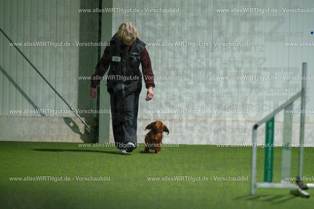 7R506885 | Professionelle Tierfotografie in Mönchengladbach von Daniel Wirth (allesWIRTHgut). Liebevolle & natürliche Bilder von Hunden & Katzen für unvergessliche Erinnerungen.