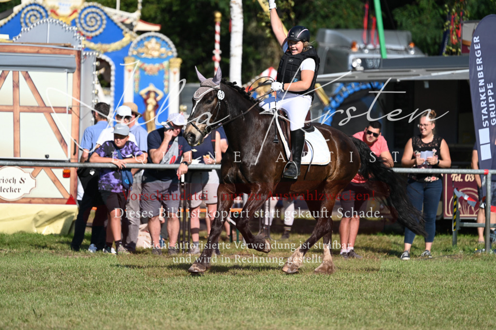 DSC_5187 | Pferde- und Turnierfotografie in Westsachsen. Pferdeportraits, Auftragszeichnungen und intuitive Kunst.