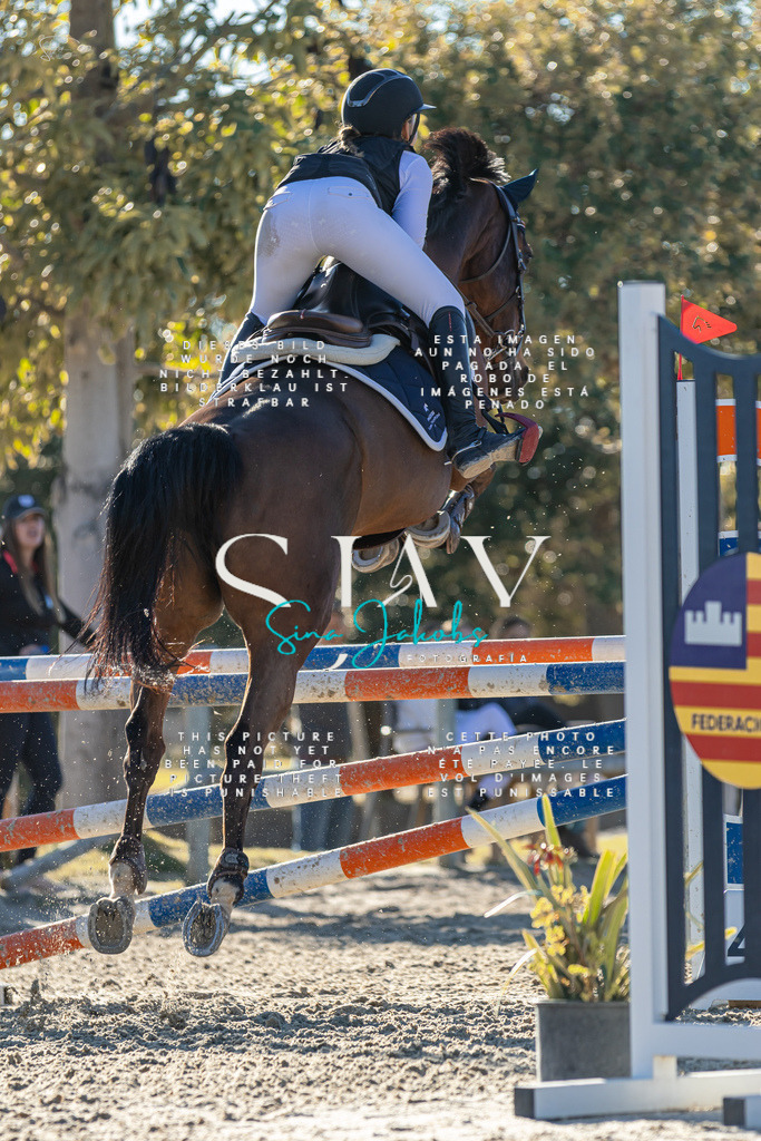 IMG_2206 | s-jay-photography - Realisiert mit Pictrs.com