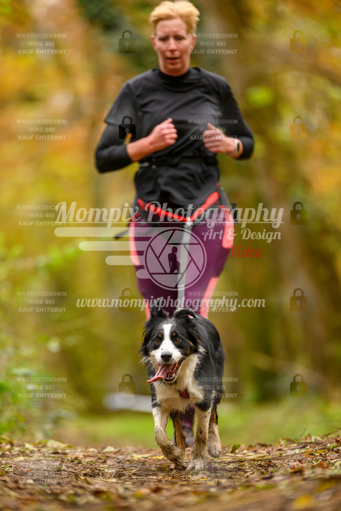 MompixPhotography_Bischwiller24_SA_Canicross-86 | PayLife