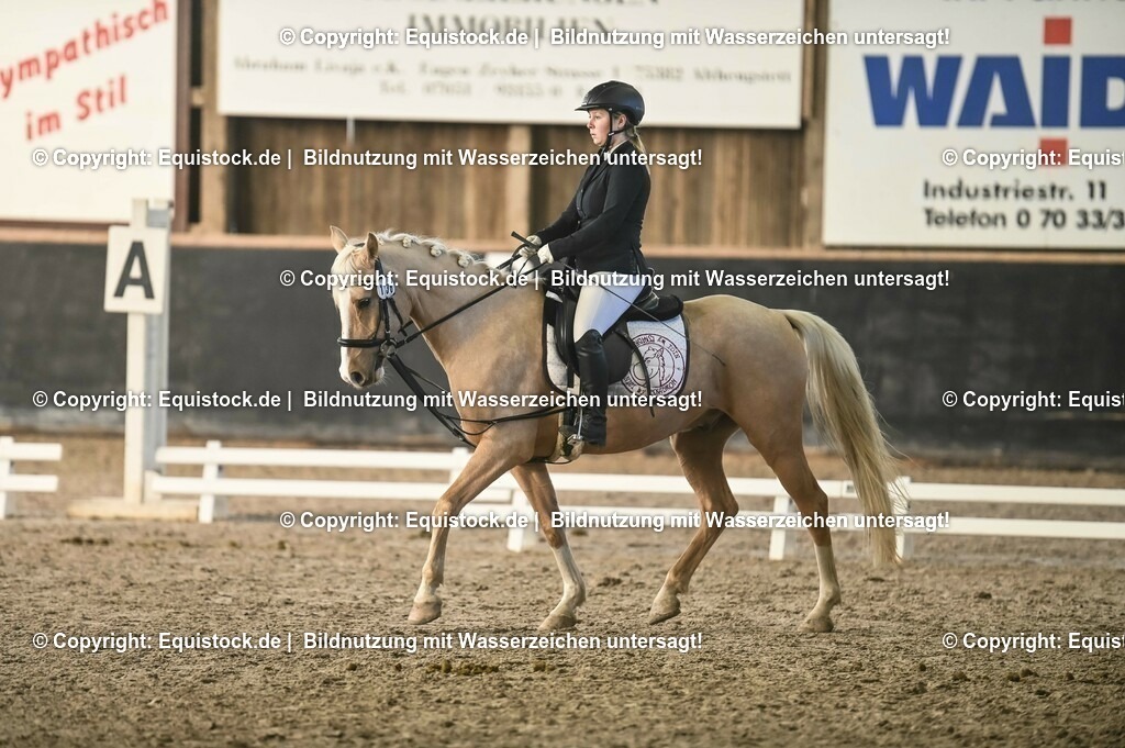 03_Reiter-WB_0119 | Foto: Thomas Hartig